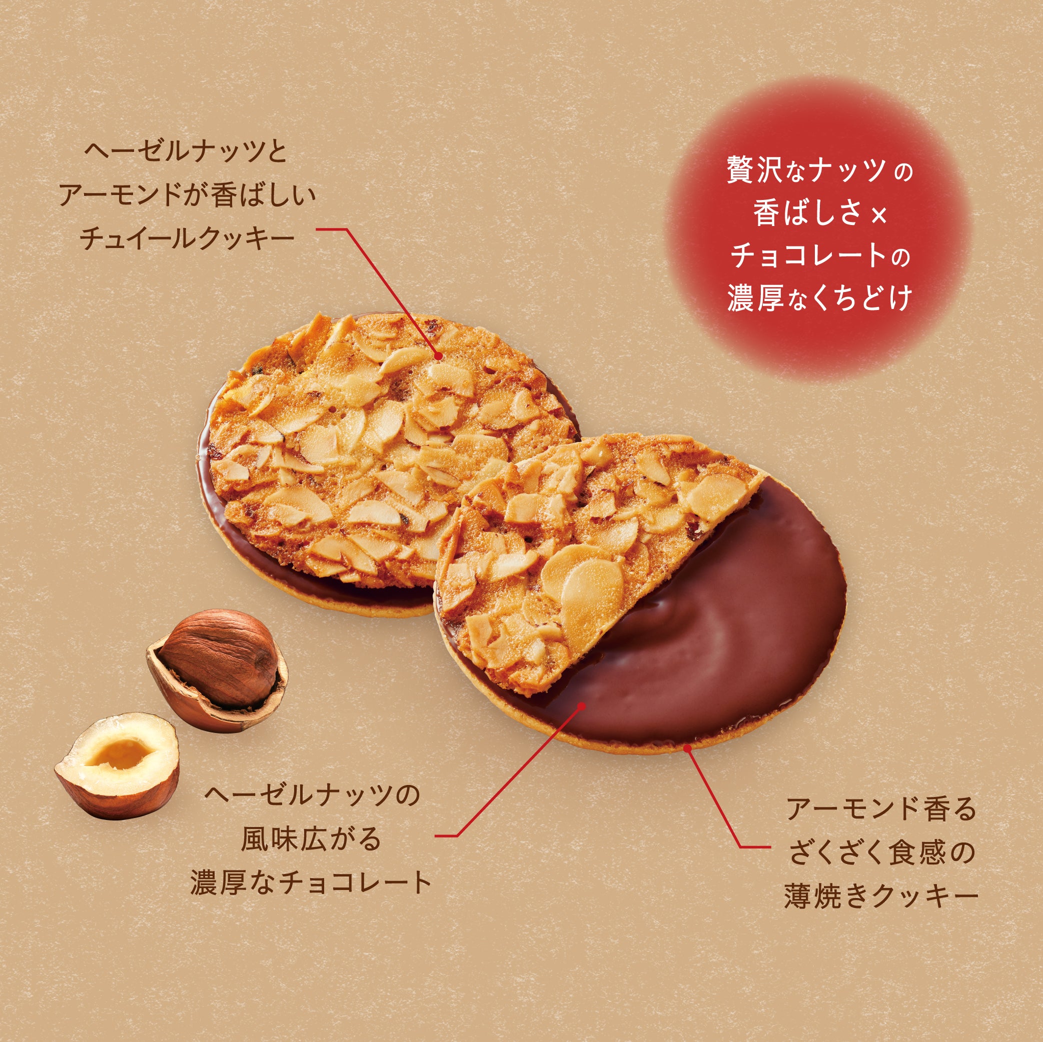 東京ナッティーショコラサンド(10個入)